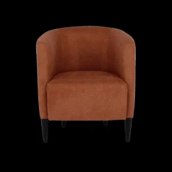 Fauteuils|Ygo Armstoel ARAGON Matana Koper