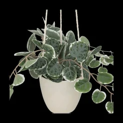 Woondecoratie|Ygo Artificiële Hangplant Lour Groen