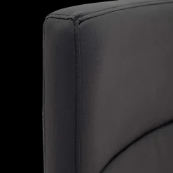 Bureaustoelen|Ygo Bureaustoel PROFI CHIEF Zwart Leder