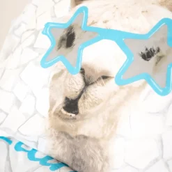 Slaapkamer|Kinderdekbedovertrekken|Ygo Dekbedovertrek NO DRAMA LLAMA 140x220