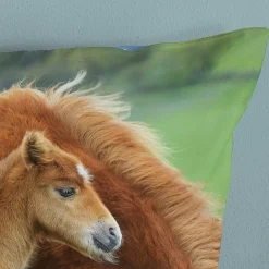 Slaapkamer|Kinderdekbedovertrekken|Ygo Dekbedovertrek REGINE 140X220