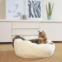 Kussens En Manden|Ygo Dierenkussen WOEZEL Rnd S Ecru