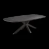 Eettafels|Ygo Eettafel ARTEGO Ovaal Sterpoot 200x100 Zwart