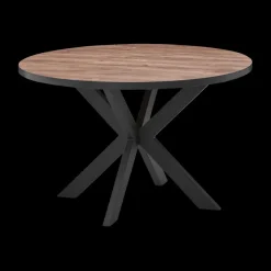 Eettafels|Ygo Eettafel DELPHINE Ø120 Sterpoot Zwart