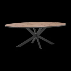 Eettafels|Ygo Eettafel DELPHINE Ovaal 220x110 Sterpoot Zwart