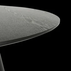 Eettafels|Ygo Eettafel FERMO Ø120 Fineer Zwart