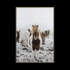 Wanddecoratie|Ygo Framed Canvas TORBJORN Paard