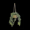 Woondecoratie|Ygo Hangplant PATRI in Mand Ass.