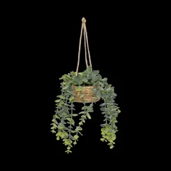 Woondecoratie|Ygo Hangplant PATRI in Mand Ass.