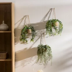 Woondecoratie|Ygo Hangplant PATRI in Mand Ass.