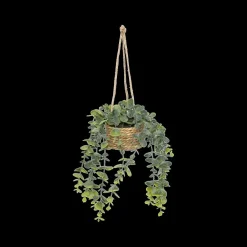 Woondecoratie|Ygo Hangplant PATRI in Mand Ass.