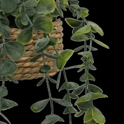 Woondecoratie|Ygo Hangplant PATRI in Mand Ass.