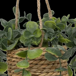 Woondecoratie|Ygo Hangplant PATRI in Mand Ass.
