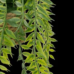 Woondecoratie|Ygo Hangplant PATRI in Mand Ass.