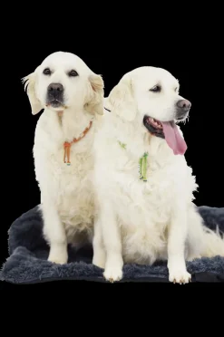 Kussens En Manden|Ygo Hondendeken Sofa BOMMEL L L.Grijs