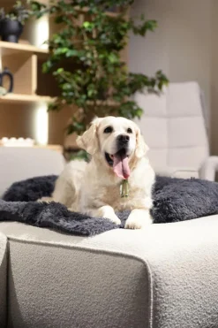 Kussens En Manden|Ygo Hondendeken Sofa BOMMEL M L.Grijs