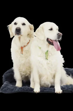 Kussens En Manden|Ygo Hondendeken Sofa BOMMEL M L.Grijs