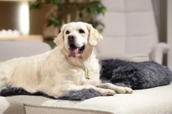 Kussens En Manden|Ygo Hondendeken Sofa BOMMEL M Dk.Grijs