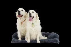 Kussens En Manden|Ygo Hondendeken Sofa BOMMEL M Dk.Grijs