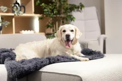 Kussens En Manden|Ygo Hondendeken Sofa BOMMEL S L.Grijs