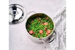 Potten & Pannen|Ygo Kookpot DAILY Ø20 RVS M/Deksel