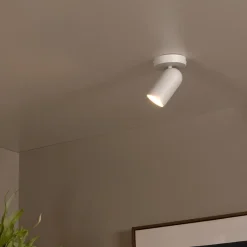 Spots|Ygo Plafondspot PUNCH 1Del. Wit