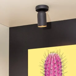 Spots|Ygo Plafondspot PUNCH 1Del. Zwart