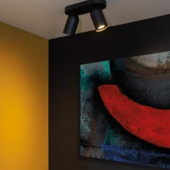 Spots|Ygo Plafondspot PUNCH 2Del. Zwart