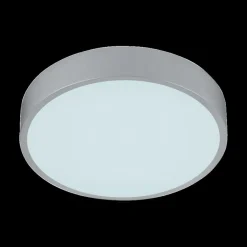 Plafonniers|Ygo Plafonier WACO Ø30 Met. Titaan