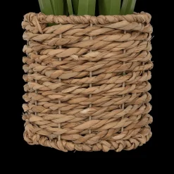 Woondecoratie|Ygo Plant Artif. ZHYA L in Mand