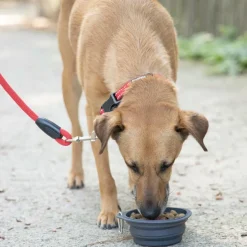 Voederbakken|Ygo Plooibare voederbak KNAPS