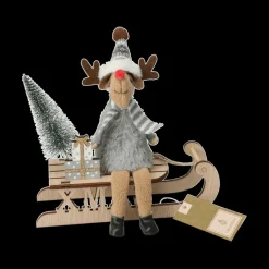 Kerst|Ygo Rendier op Slee ASBJORN Ass.