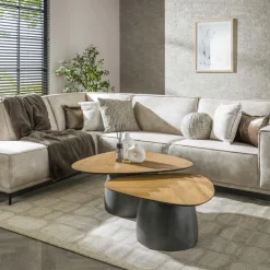 Salontafels & Bijzettafels|Ygo Salontafel FLORUS S/2 Organisch Rock