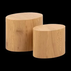 Salontafels & Bijzettafels|Ygo Set van 2 salontafels RIKA Wild Oak