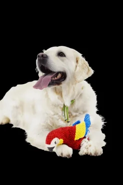 Huisdierspeelgoed|Ygo Speeltje PELUCHE Papegaai Rood