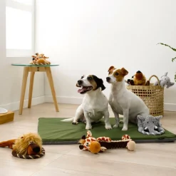 Huisdierspeelgoed|Ygo Speeltje ROMEO Leeuw Bruin