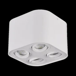 Spots|Ygo Spot COOCKIE Wit