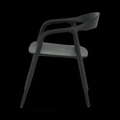 Stoelen|Ygo Stoel HJALMAR Ash Wood Black