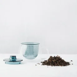 Servies|Koffie & Thee|Ygo Theemok BOTOTHE Glas M/Filter Groen