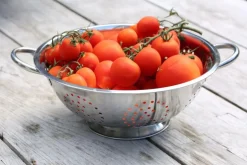 Keukenaccessoires|Kookaccessoires|Ygo Vergiet TRIARI Rond M/2Handvat RVS